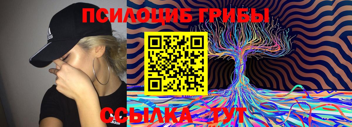 Ликино-Дулёво  Галлюциногенные грибы MAGIC MUSHROOMS  Вход с VPN 