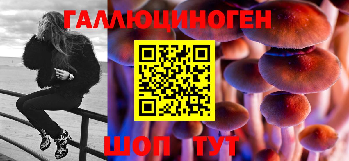 Псилоцибиновые грибы прущие грибы Ликино-Дулёво